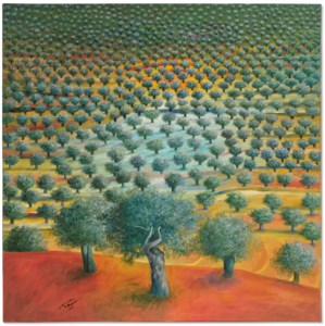 Olive Tree Grove