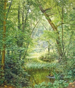 The woodland pool