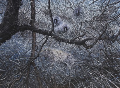 Wilderness - the Strong and the Weak