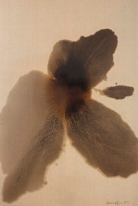 Withered Lotus