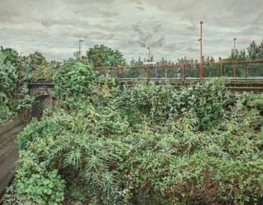 Rail Embankment - Summer
