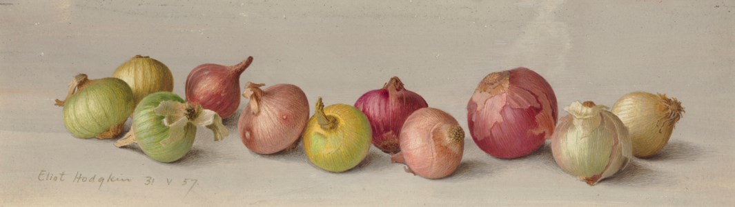 Eleven Shallots
