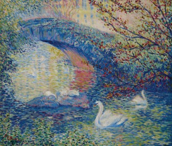 Swans, Central Park