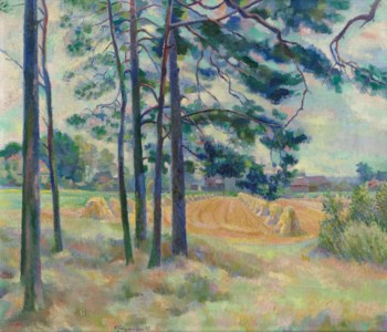 Damsdorf, von der Kiesgrube aus, morgens, Kiefern und Haferpuppen