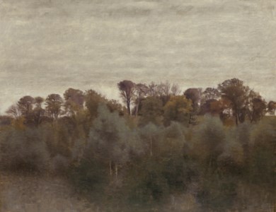 Vilhelm Hammershøi, Landskab. Sommer. Fra Ryet ved Farumsø