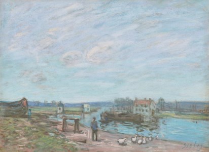 Les oies à Saint-Mammès
