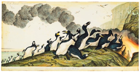 Walton Ford, Funk Island