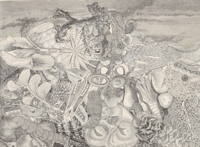 UNTITLED (LANDSCAPE)