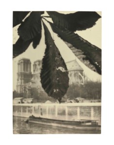 Notre Dame de Paris, 1908
