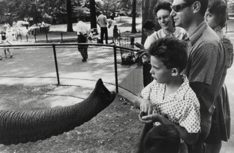 Bronx Zoo, New York, 1963