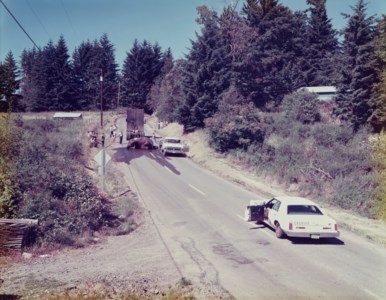 Exhausted Renegade Elephant, Woodland, Washington, 1979