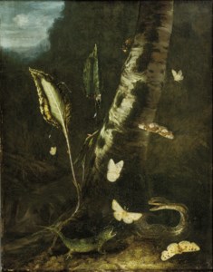 A forest floor with a lizard, a snake and butterflies