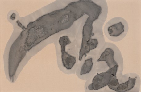 Datsu (Deattach), 1963