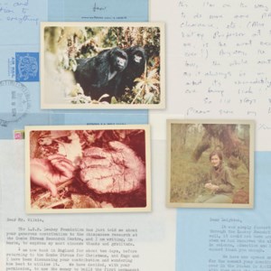 TO THE WILKIE BROTHERS FOUNDATION, 1950s-80s