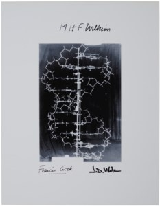 SIGNED BY CRICK, WATSON, AND WILKINS