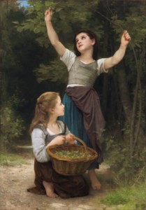 FRENCH, Récolte de noisettes