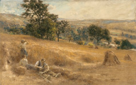 Moisson sur le coteau