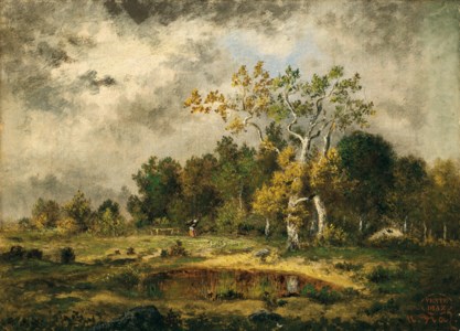 Fagotière à l’orée d’un bois près d’une mare