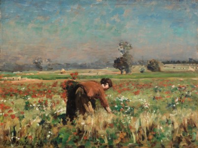 Le pré fleuri à Courrières