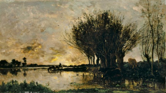 Vaches s'abreuvant à la rivière