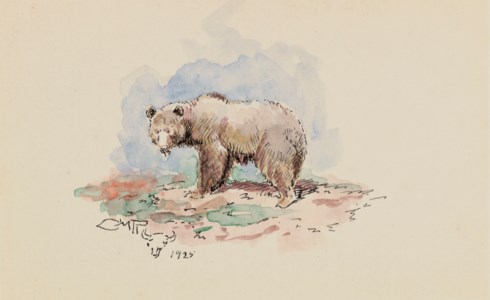 Small Grizzly