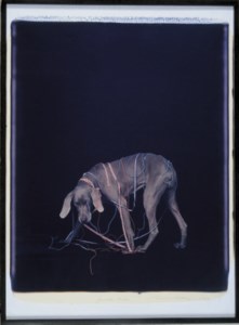 Finish Line, 1992