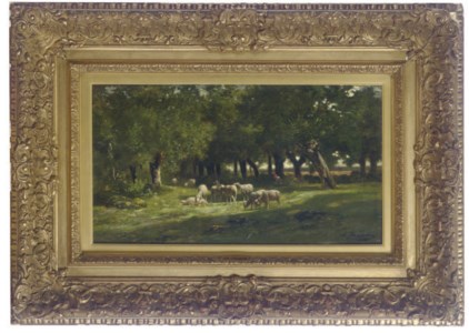 Sheep resting in the sunlight in a forest clearing