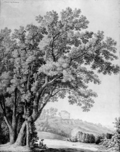 A view of the Villa Aldobrandini, Frascati