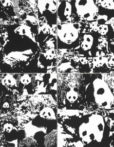 World of Pandas (All Day Long)