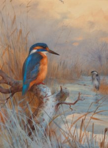 Frozen out- Fishers: Kingfisher and Heron in a winter landscape