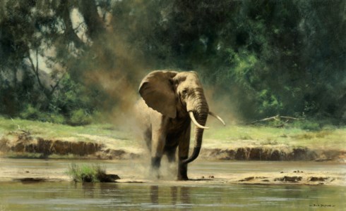 Elephant Afternoon