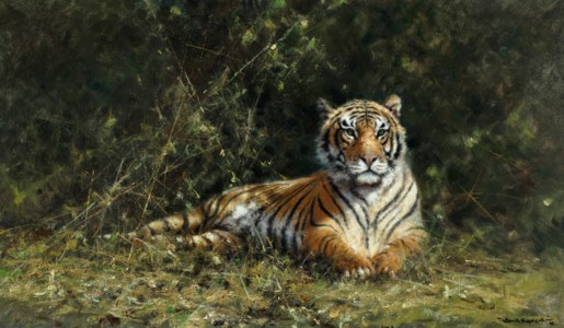 Gentleman of the Jungle