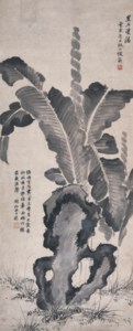 Plantain and Rock
