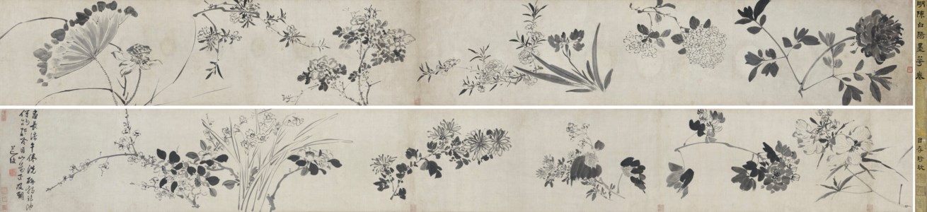 Blooming Flowers