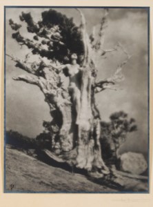 Invictus, c. 1924