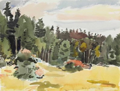 The Clearing--North Meadow