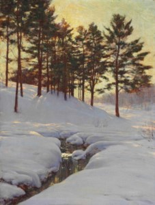 Sun Behind the Pines