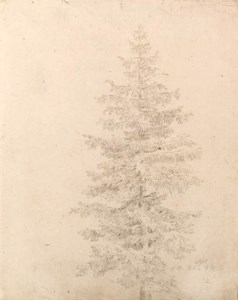 Fichtenbaum (recto) ; and Wldchen (verso)