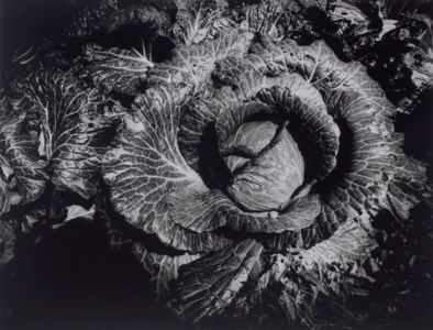 WORK SHOP no. 6, 1976