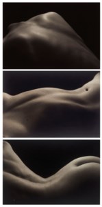 Three Still Life Images, 1993-1994