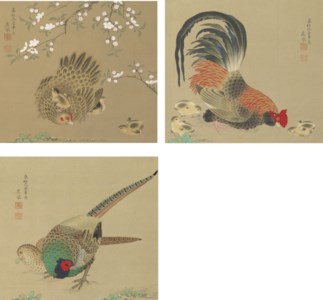 Hen, rooster and pheasants