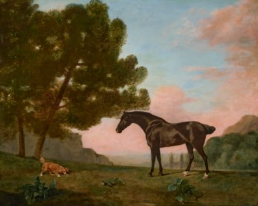 A dark bay horse facing left, with a golden spaniel scenting the ground