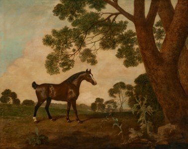 A dark bay horse facing right, beside a large oak tree