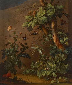 Forest floor still life with a lizard, thistles, mushrooms, snails, butterflies, beetles, grasshoppers, and other insects and plants
