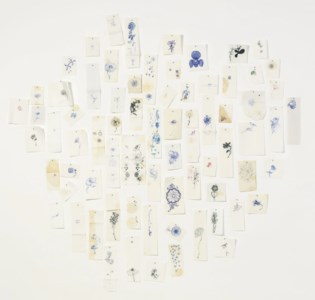 A Diary of Flowers When We Met