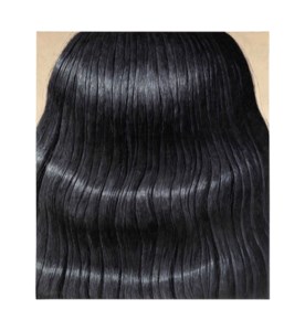Domenico Gnoli, Black Hair