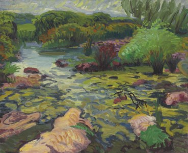Frog Pond, Gloucester