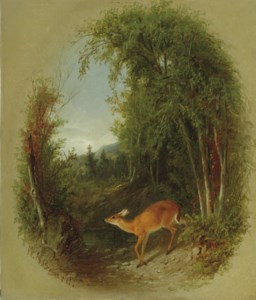 Deer in a Landscape