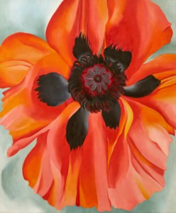 Georgia O'Keeffe, Red Poppy