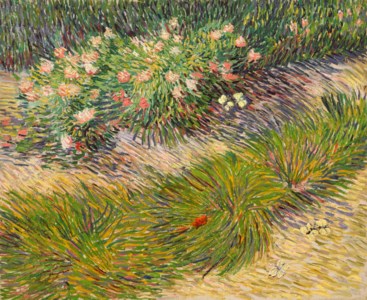 Van Gogh, Coin de jardin avec papillons
